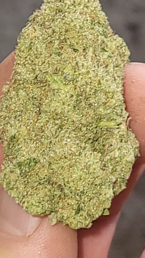 Greenhouse Cannabis by the Pound (Very good quality!)