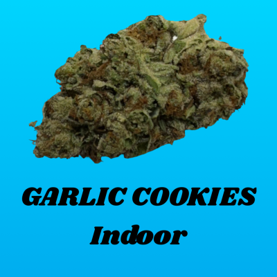 GARLIC COOKIES (INDOOR)