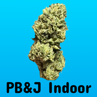 PB JELLY (INDOOR)